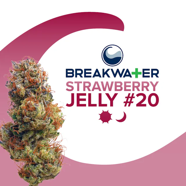 Breakwater Flower Strawberry Jelly #20 7g (hybrid)