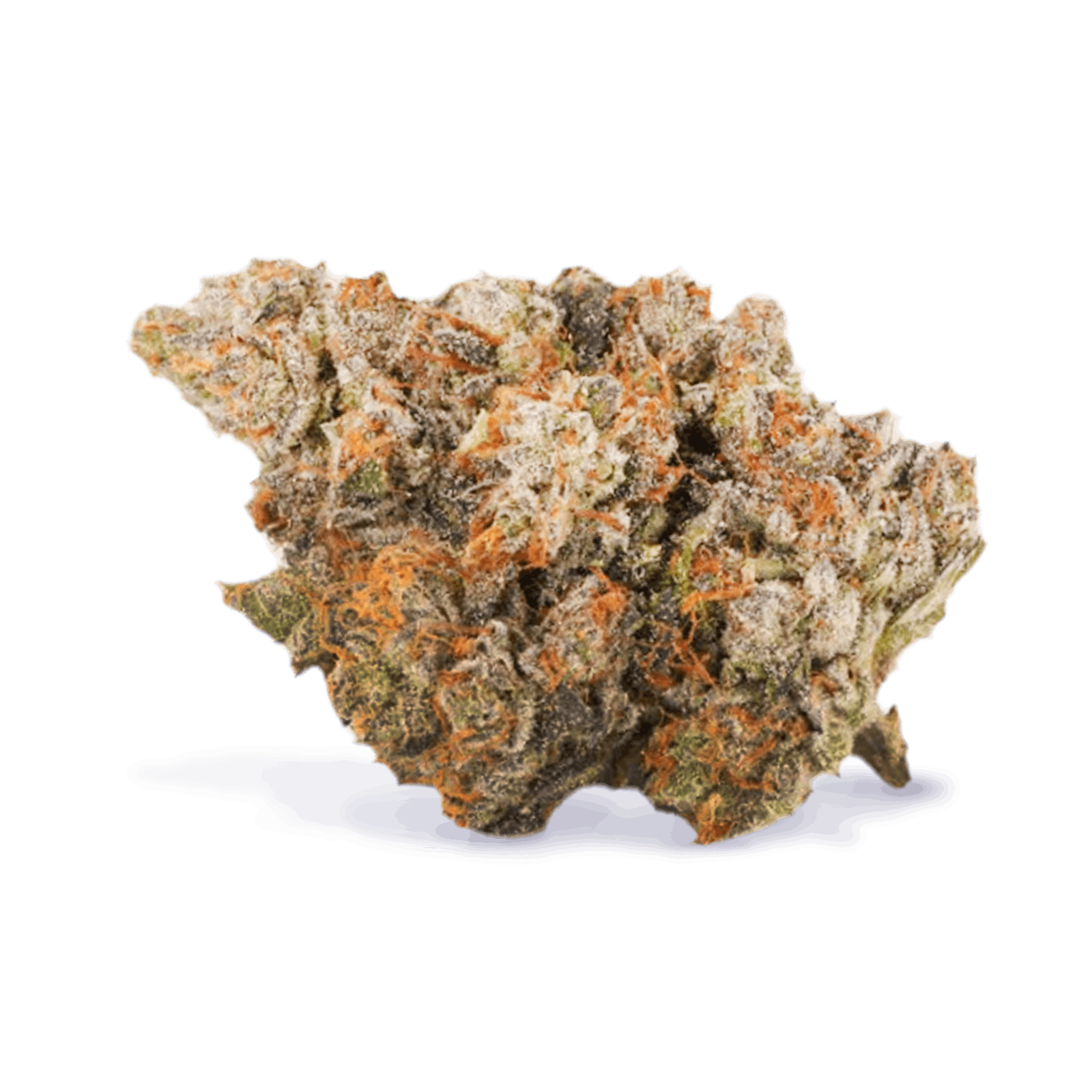 Sativa Bliss Cannabis Boutique Rexdale