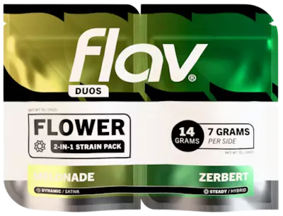 Flav - Planet Nugg