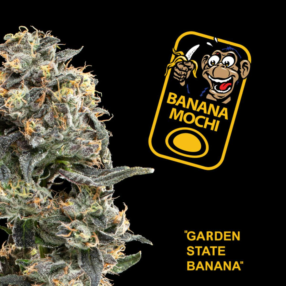 Photo of Garden State Banana Banana Mochi 3.5g