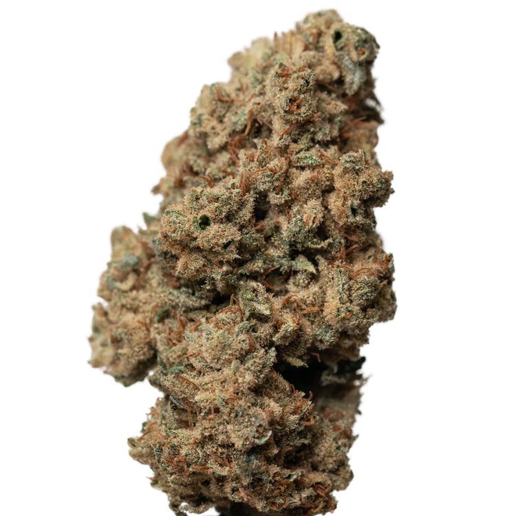 $8 - Tokyo - Lemon Tree | Tokyo Starfish (SE 3rd Street)