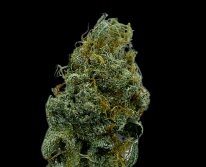 Photo of Lemonhead Delight