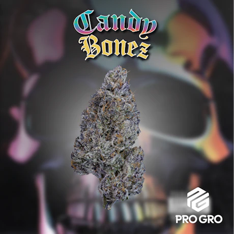 Candy Bonez 1g Pre-Roll - product image at King of Budz