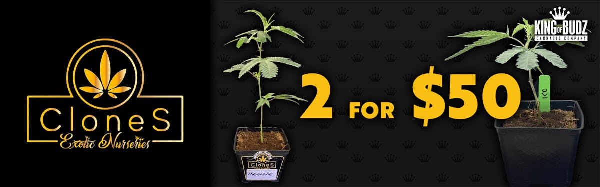 Exotic Nurseries Clones 2 For $50