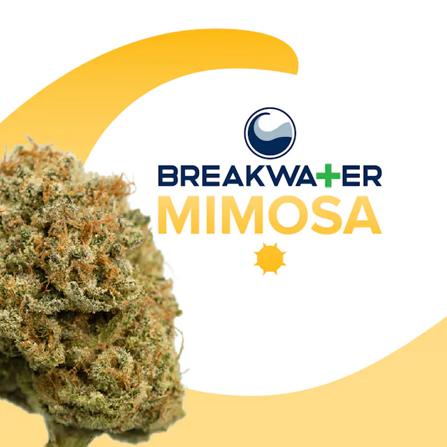 Breakwater Flower Mimosa 3.5g (sativa, whole flower)
