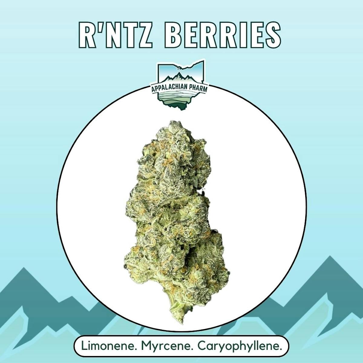 Photo of Runtz Berries Small Buds