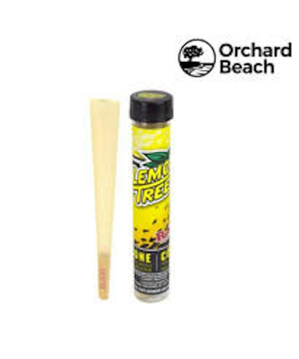Product Cones | 1pk | Lemon Tree | Orchard Beach