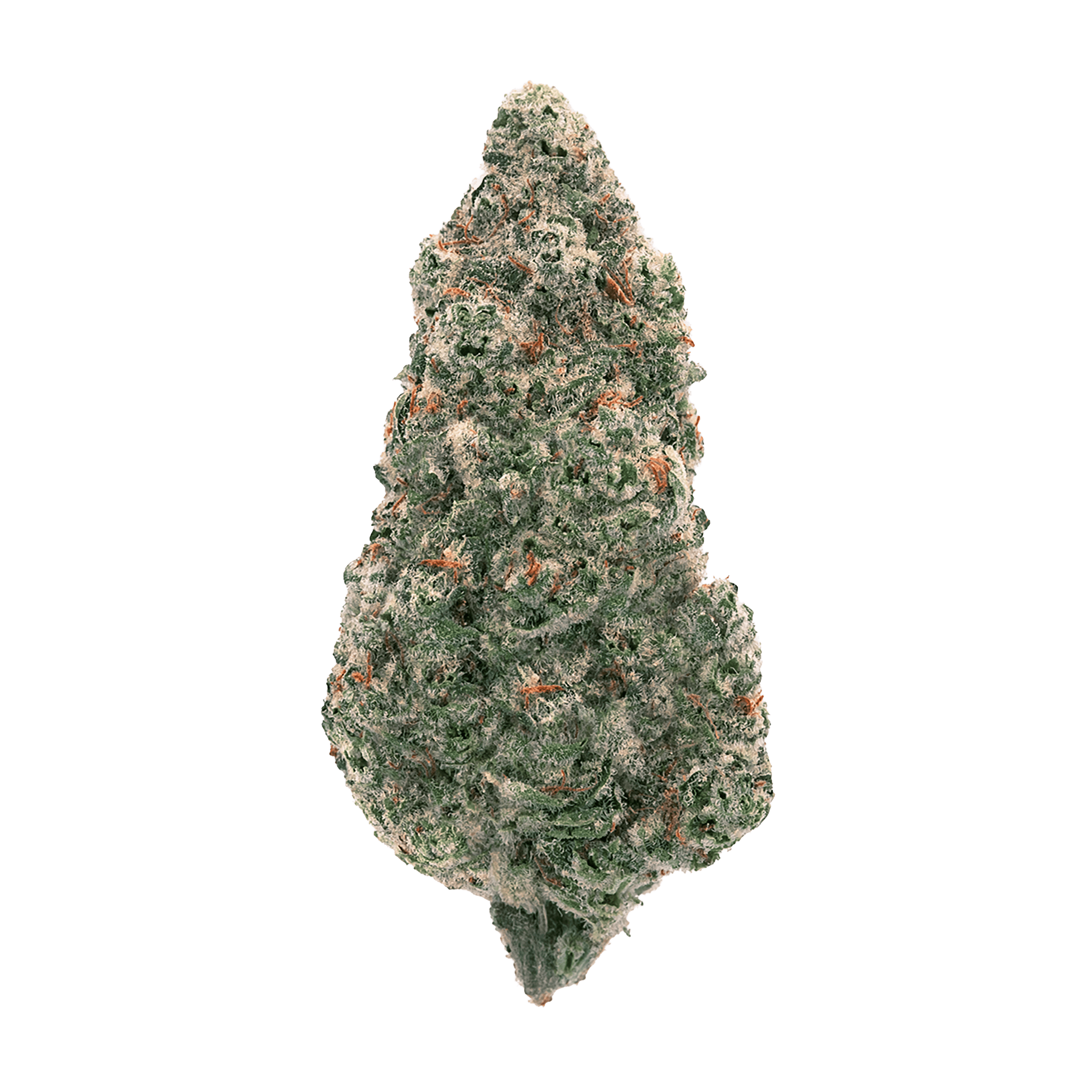 Mandarin Cookies Pre-Roll 10-pack | 3.5g-3