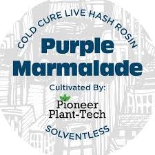 Product Nyce | Purple Marmalade | Live Hash Rosin | 1g