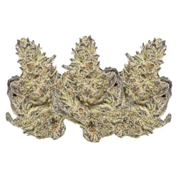 Flower | Eleven Eleven Legacy Craft - White Truffle - Indica