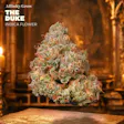 Duke Pre-Pack WARNING High THC