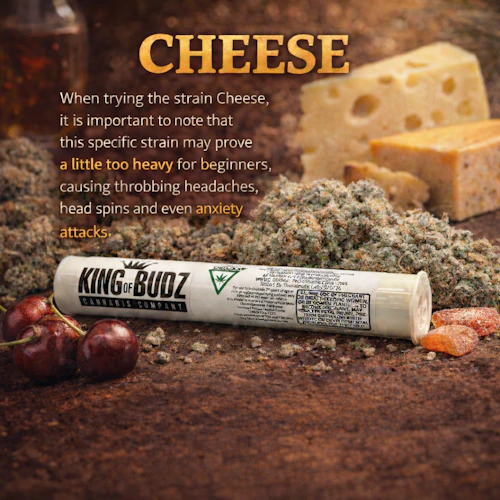 KOB - 1g Preroll - Cheese