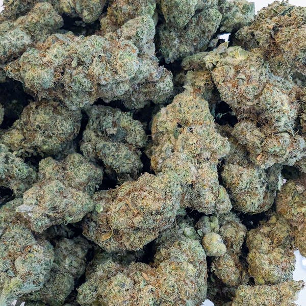 Poppins (H) - Deli-Style Flower - Perpetual