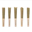 Tuscan Gelato THCA Shorties