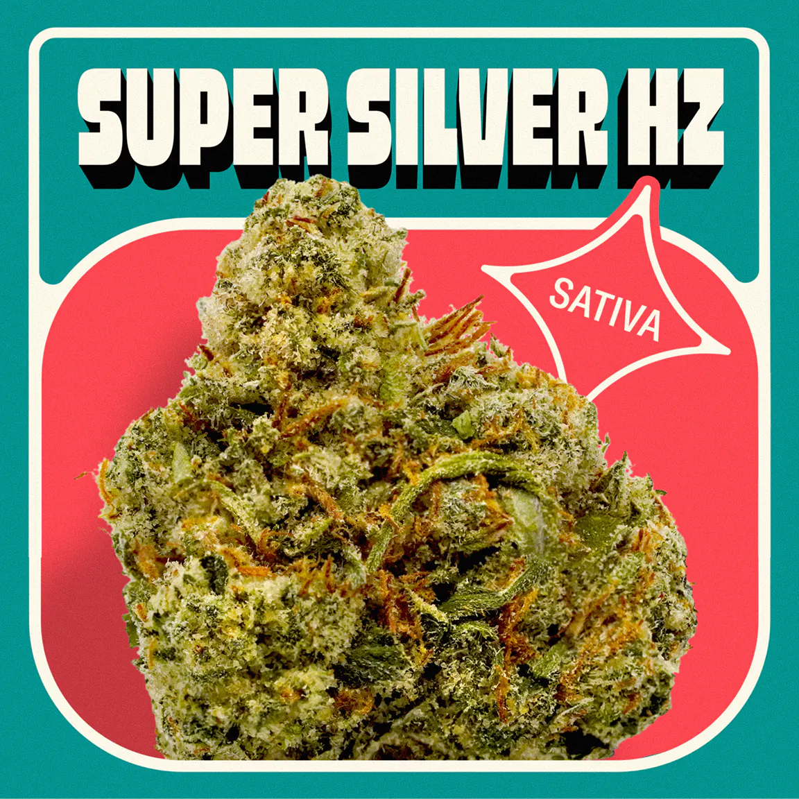 Super Silver Hz | Sativa | [3.5g] at Terrasana - Grandview