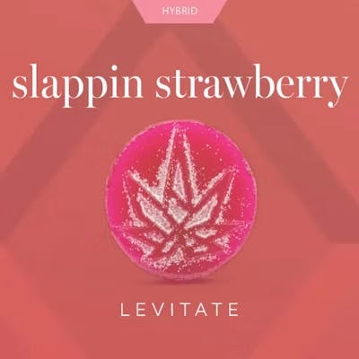 Levitate - 100mg Full Spectrum Gummies - Strawberry