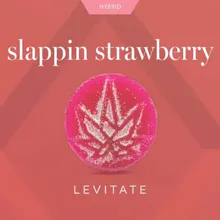 Levitate - 100mg Full Spectrum Gummies - Strawberry - EDIBLES by Levitate at King of Budz
