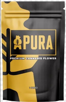 Product Pura | Blue Dream x Purple Punch | 3.19% terps