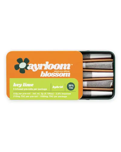 Ayrloom | Key Lime | 5pk Pre-rolls | 3g-active