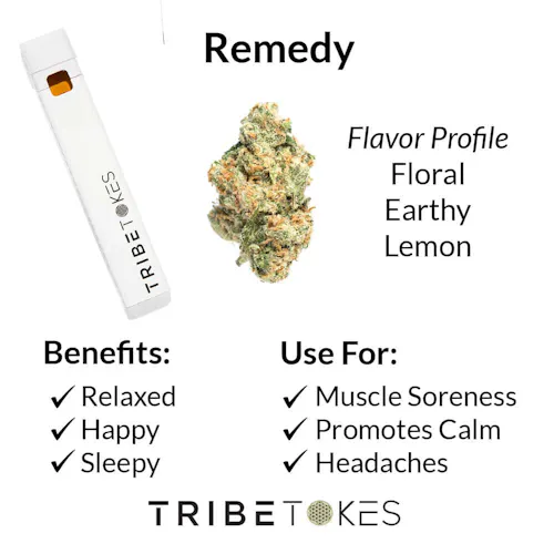 Tribe Tokes | Remedy | Indica | CBD Full Spectrum Disposable Vape | 1ml-active