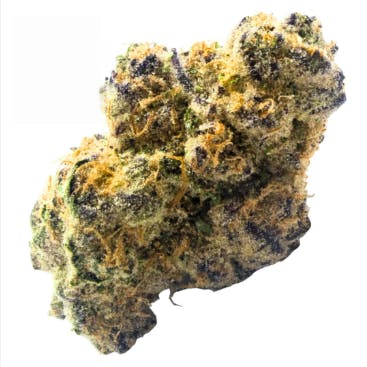 GNG + | Cheddar Jack | Flower - 3.5g