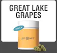 Pre-Pack Great Lake Grapes