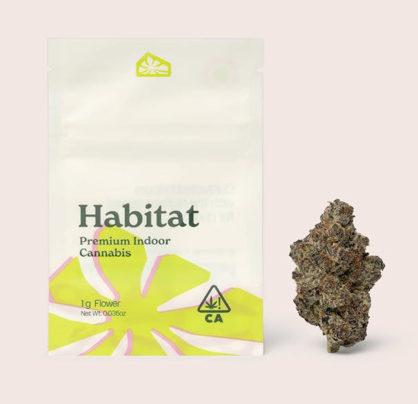 Habitat I Champagne