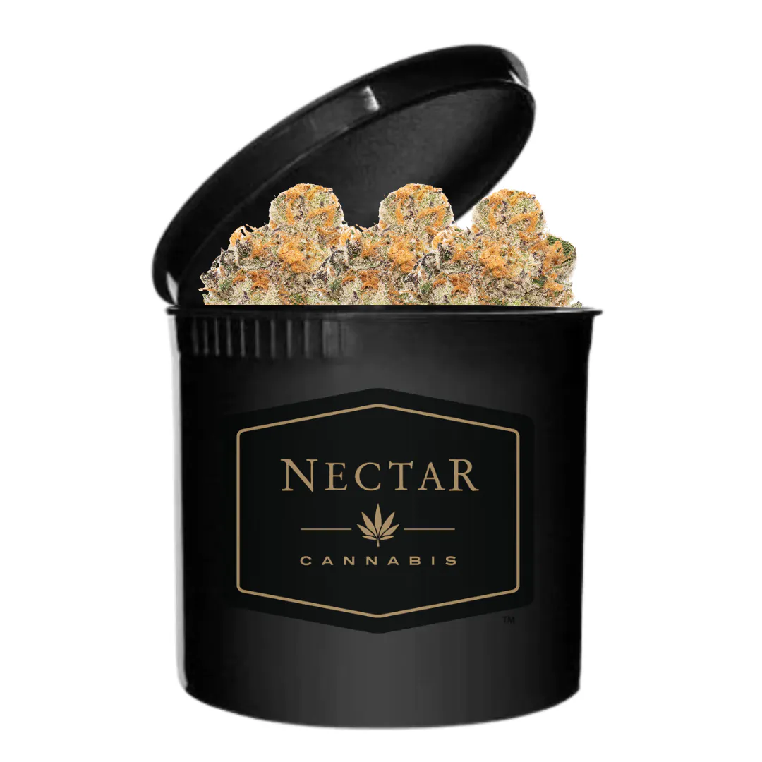 老舗　nectar フィッシュ Nectar Gold - Cherry Chem | Ounces | Nectar - Beaverton Allen