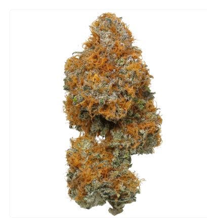 Product Colombian Apricot Buds