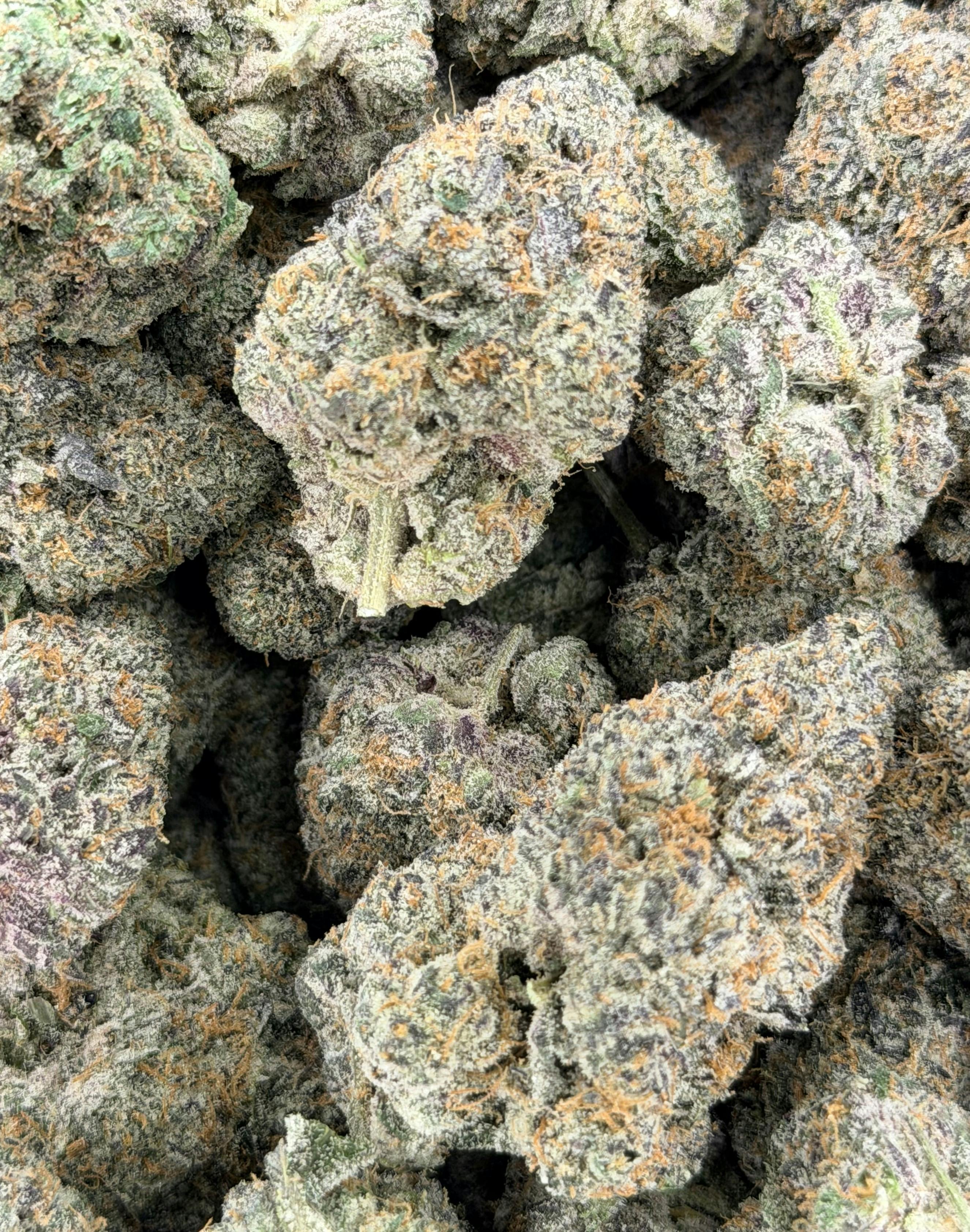 Jelly Cake | Deli Flower (Platinum)