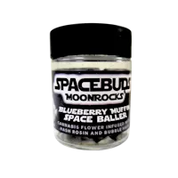 Space Buds - Blueberry Muffin Moonrocks