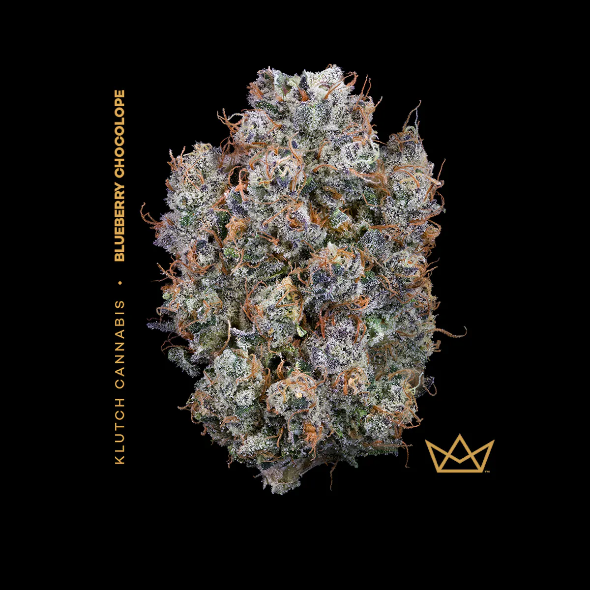 Blueberry Chocolope | 1/8oz Flower | Klutch