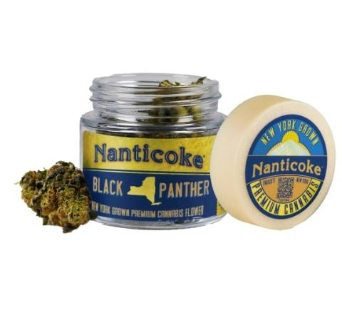 Nanticoke Black Panther