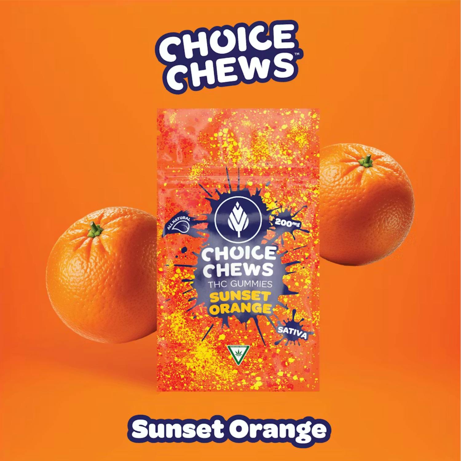 Product Image Alt