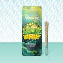 Minntz - 1g Preroll - Lemon Drip
