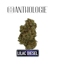 Lilac Diesel- Small Buds 7g
