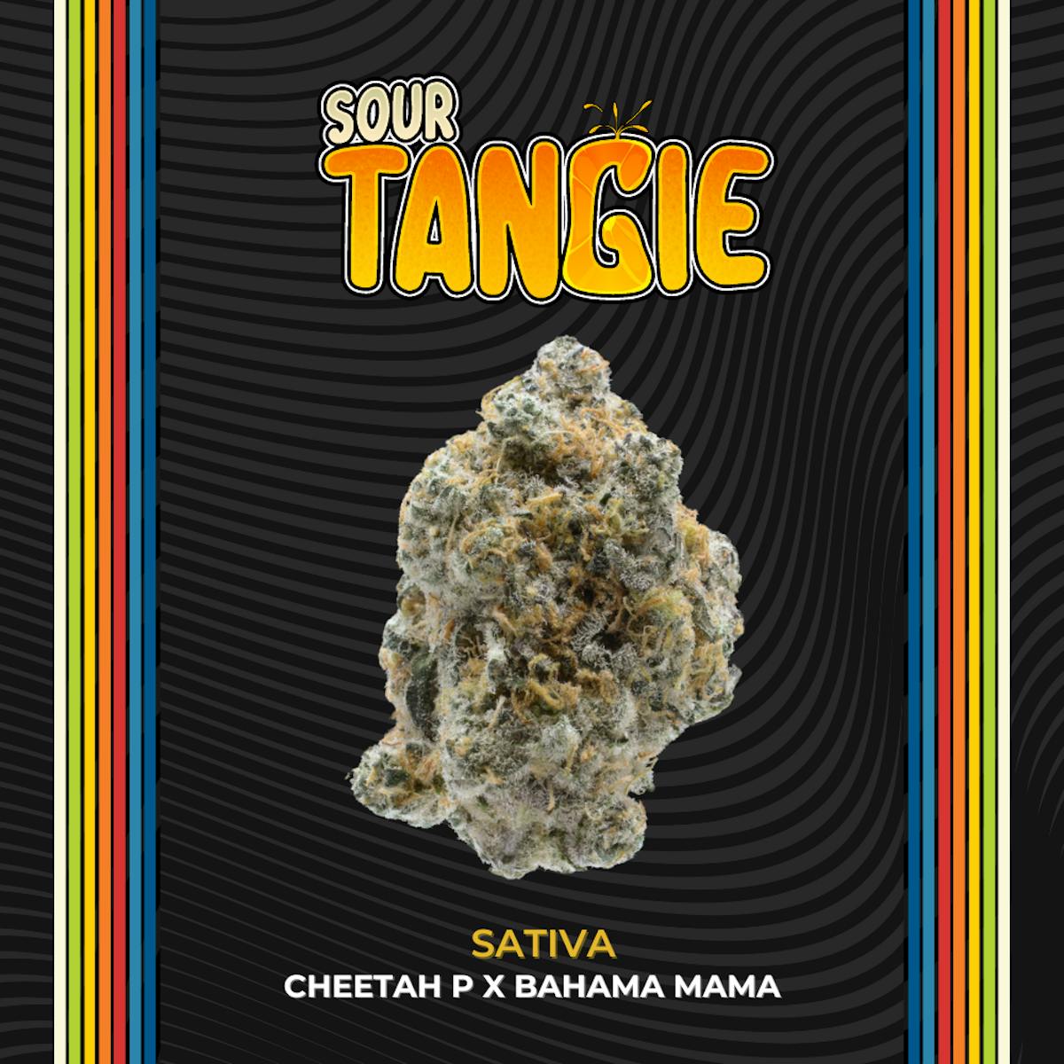 Photo of Sour Tangie