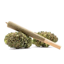 Pre-Rolls category image