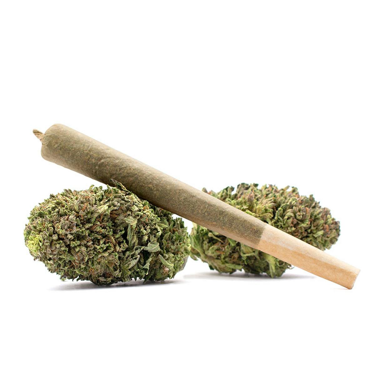 Image of Slap N Tickle | 1g Preroll