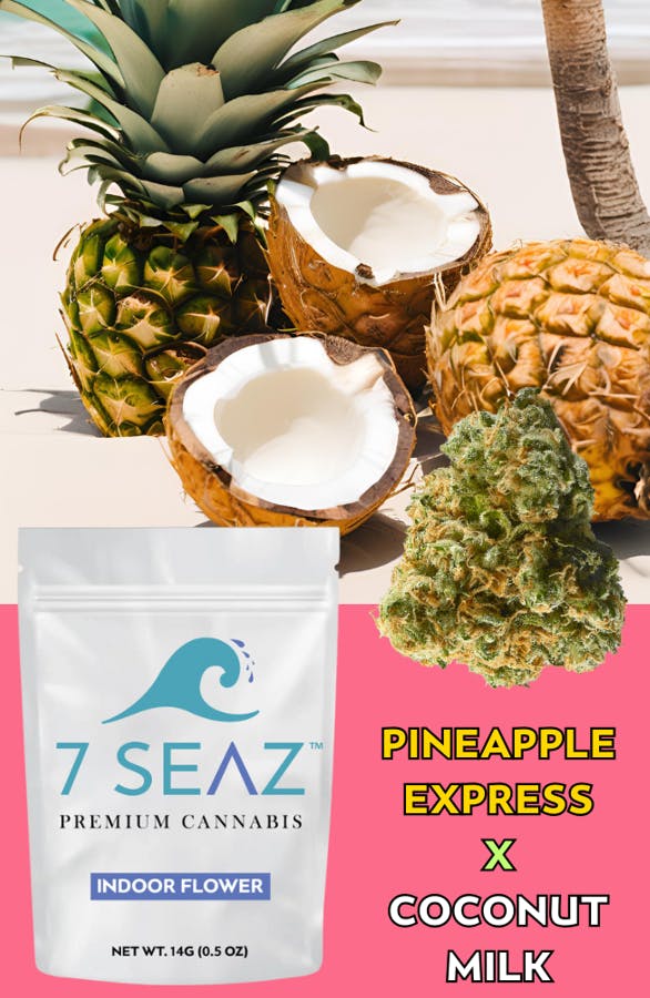 Pineapple Express x Coconut Milk Flower | Hybrid | 7 Seaz