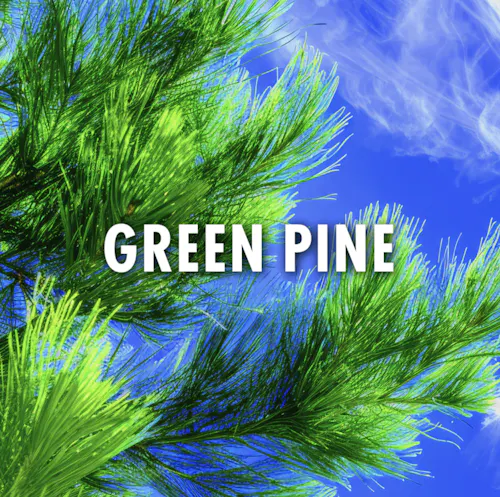 Riviera Creek | Green Pine 2.83g | Indica-1