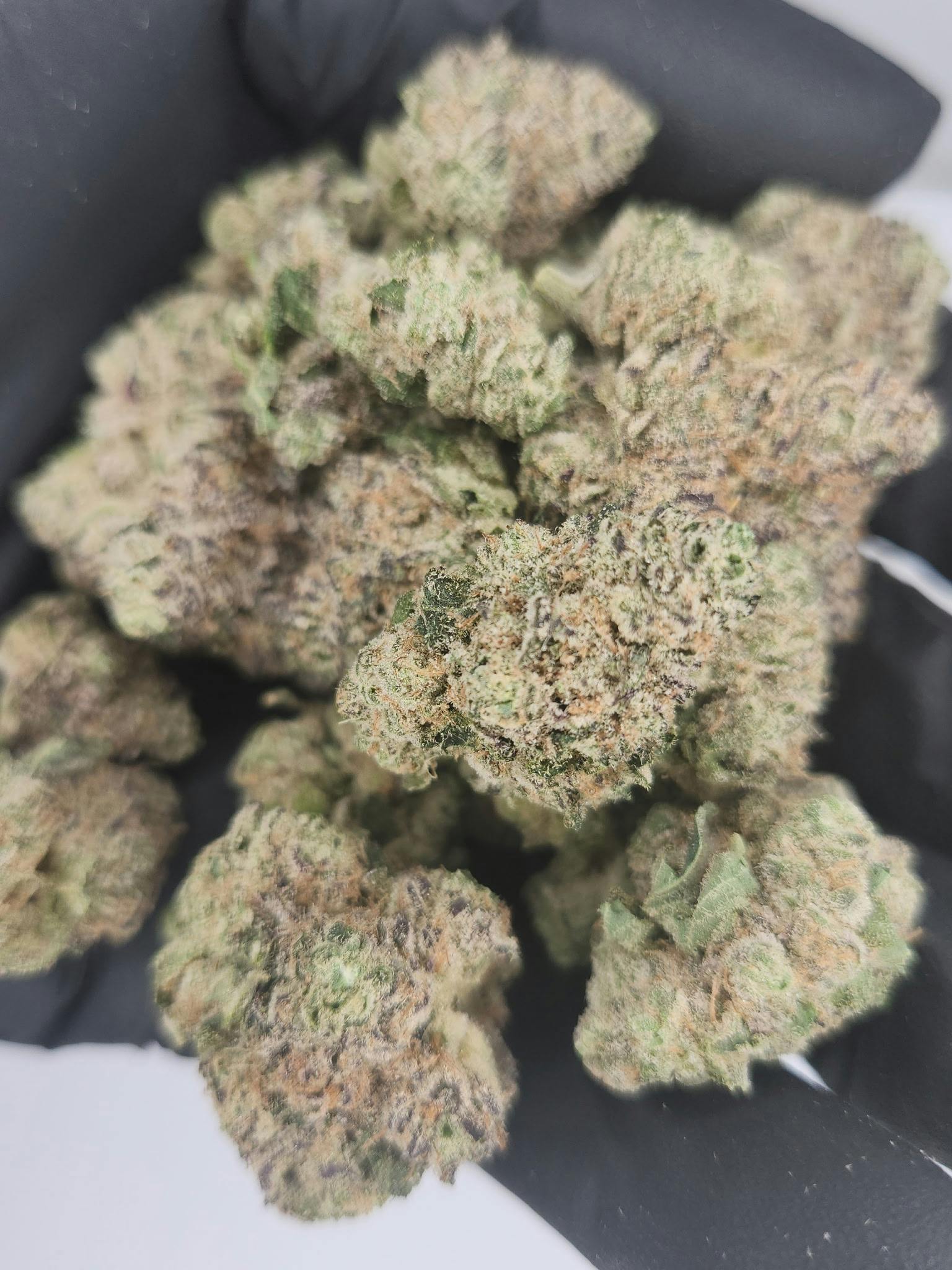 Product: Spaceman | Bulk Bud - Hashburger