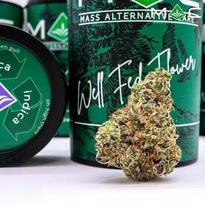 Product Frosty Cleopatra Small Buds | Flower | 7g