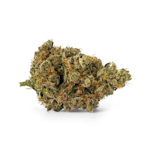 Product: Bud & Mary's | Pre-Pack - 3.5g - Say Less