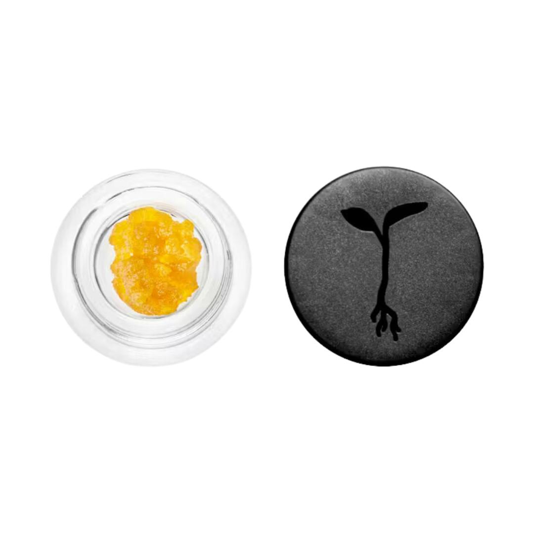 JUNGLE RUSH LIVE RESIN