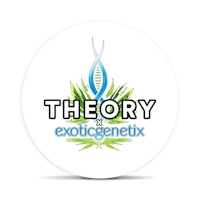 Shop by Exotic Genetix