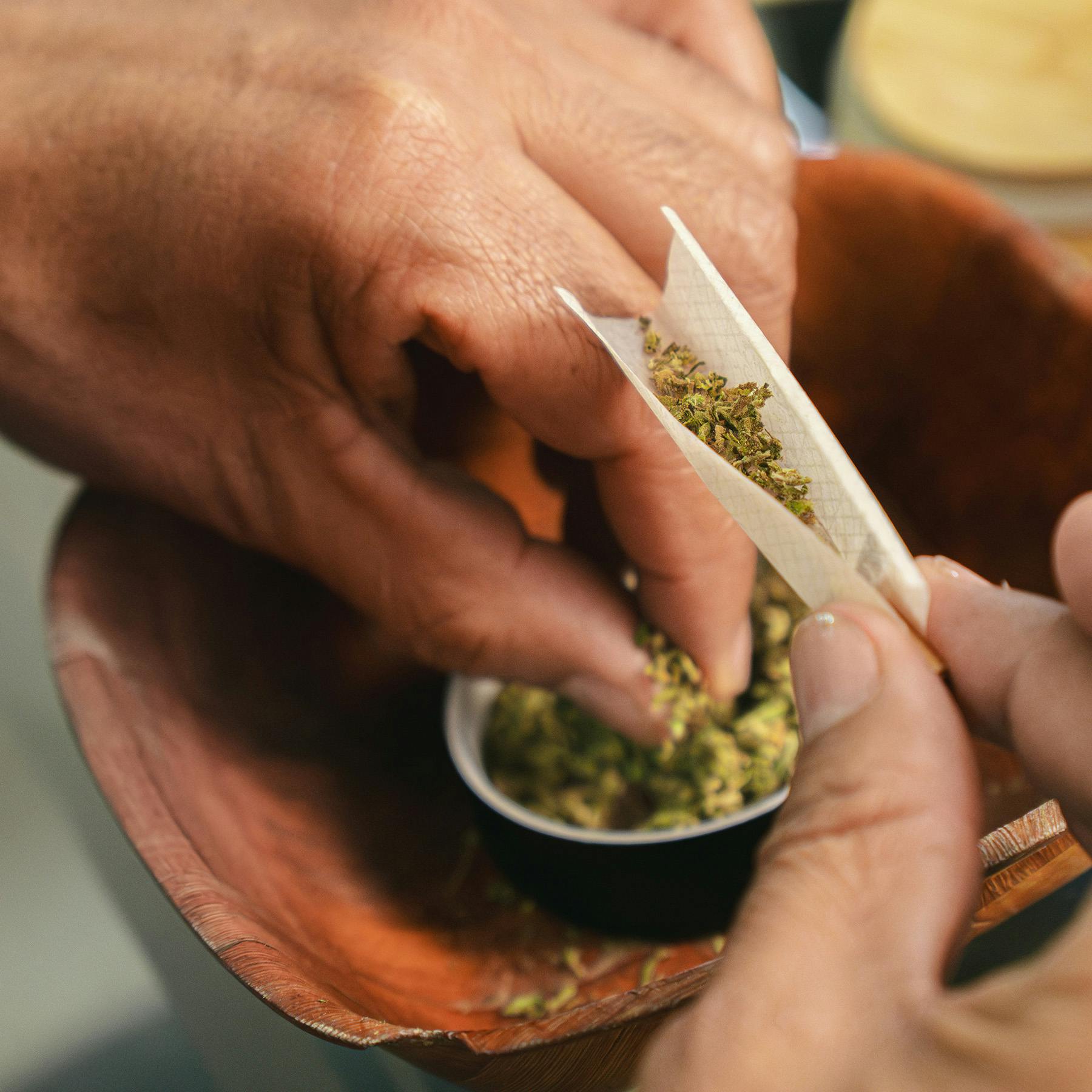 Abundant Organics: Cactus Breath Flower | Trulieve