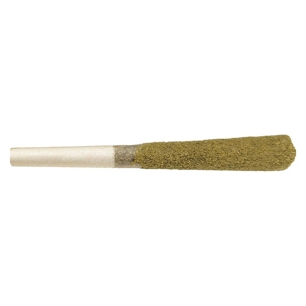 Greazy - Orange Kush CK Double Infused Pre-Roll | 1g | Thermodynamix