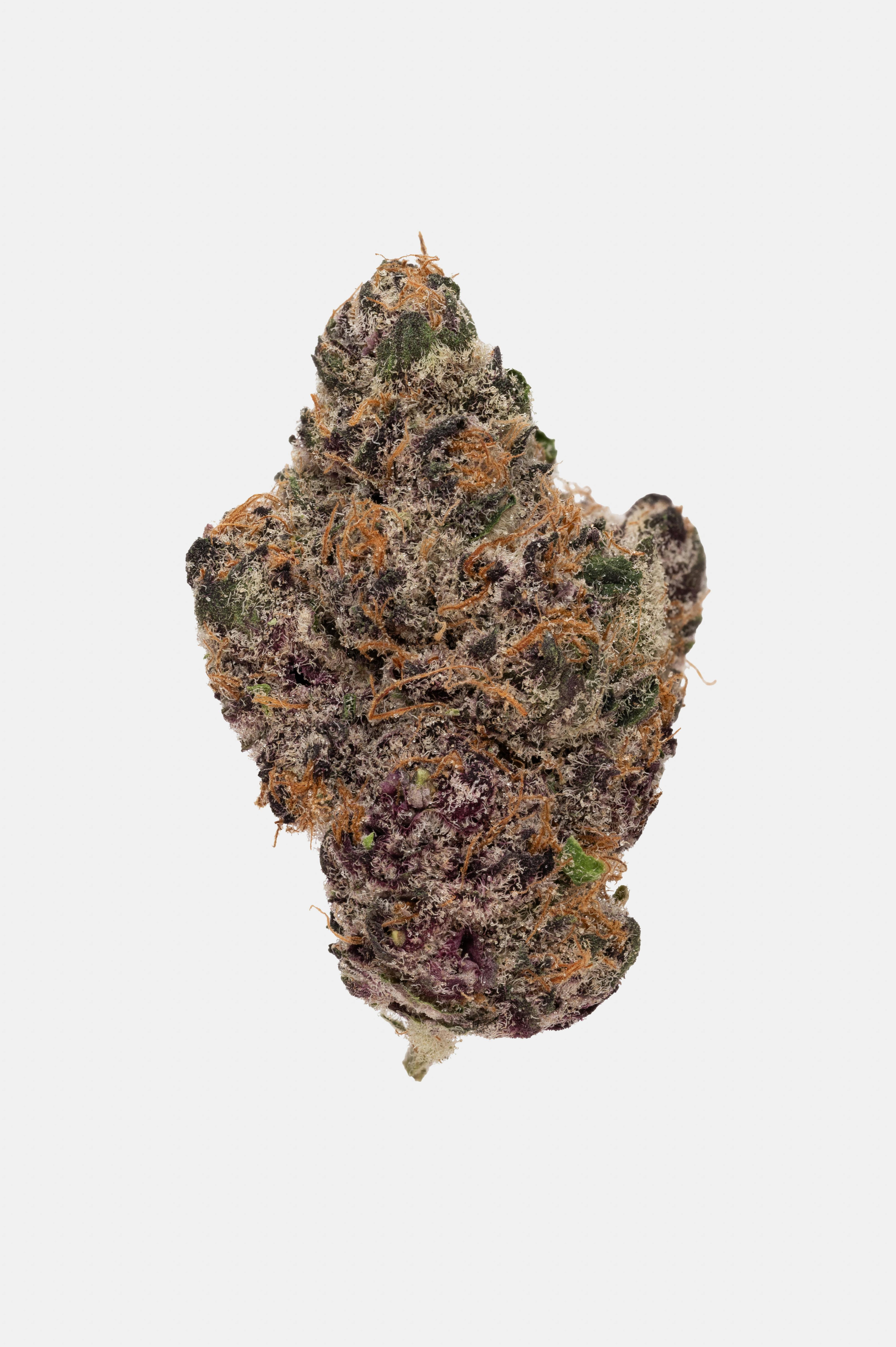 Photo of Super Boof
