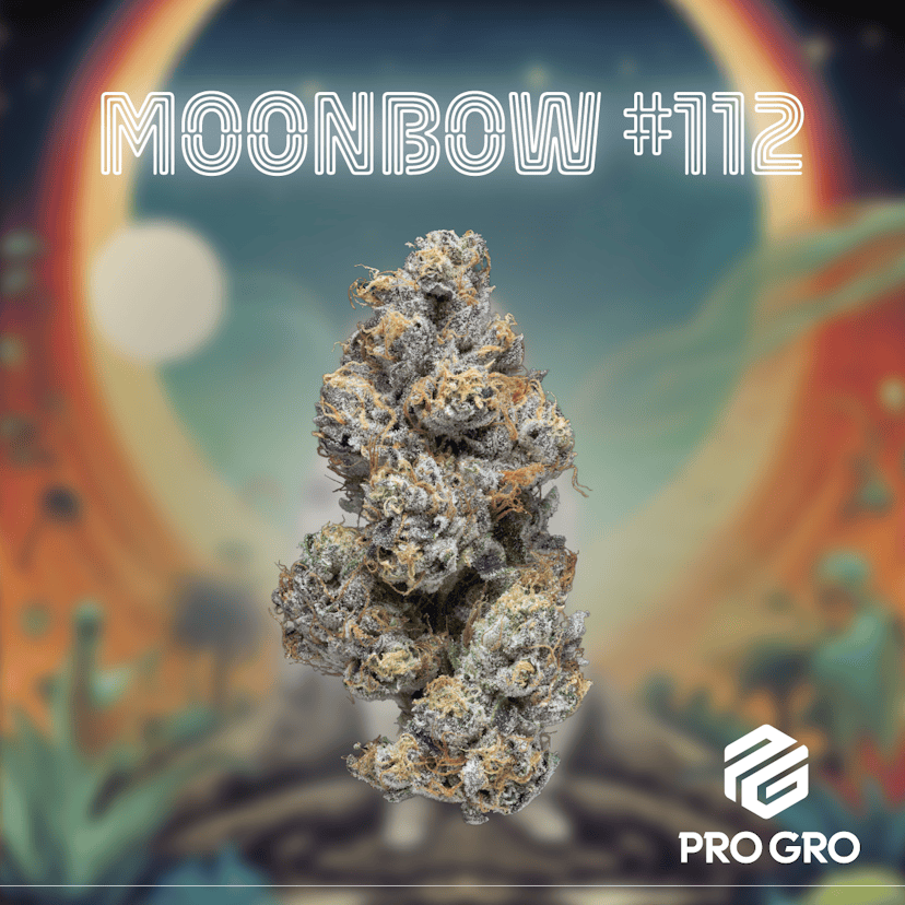 Moonbow #112 Deli